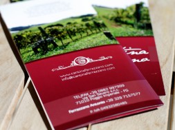 Using Creative Brochures