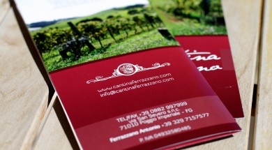 Using Creative Brochures